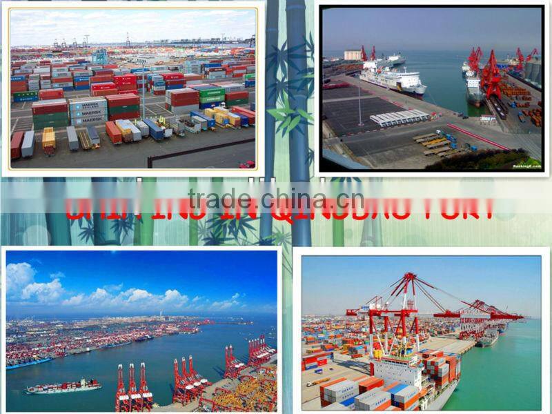 ZL08B loader with ce