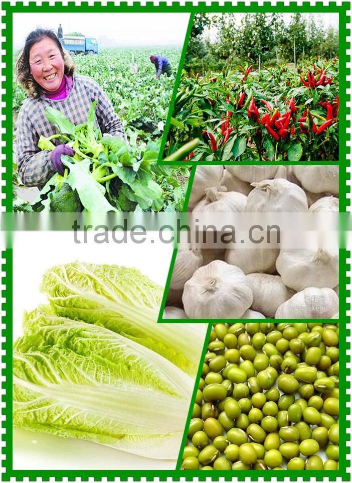 Hot sale Manual one row potato planter