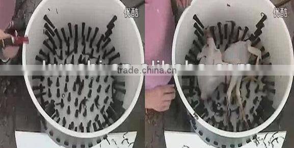 chicken plucking machine with ISO9001 for sale