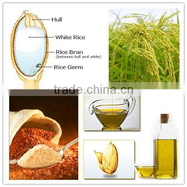 Jinxin rice bran oil pretreatment Technical leader around Asia