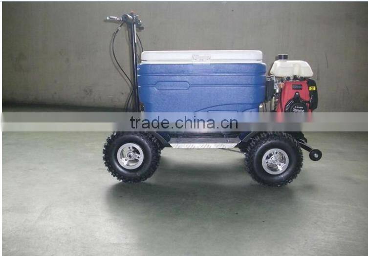 43cc EPA approved gasoline refrigerator scooter/cooler box scooter for adult (TKS-S43)