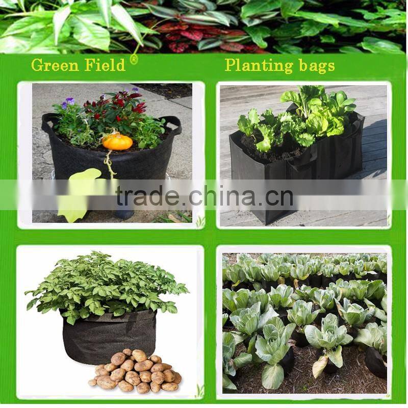 2 gallon smart plant pots tomato planter garden products