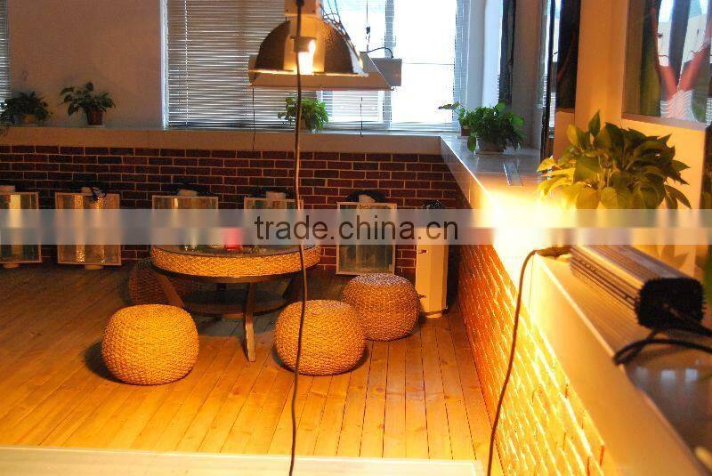 2016 new 1000 watt double ended grow light For Plants/ballast double ended greenohouse light