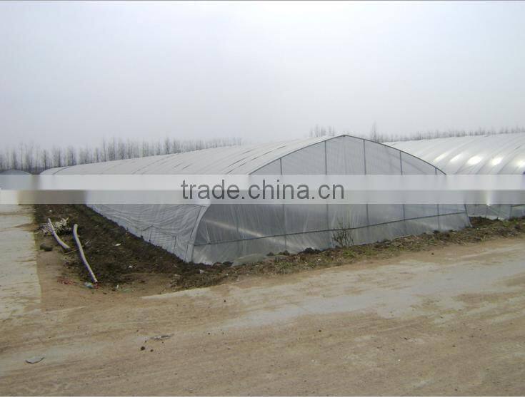 High quality plastic greenhouse price for tomato