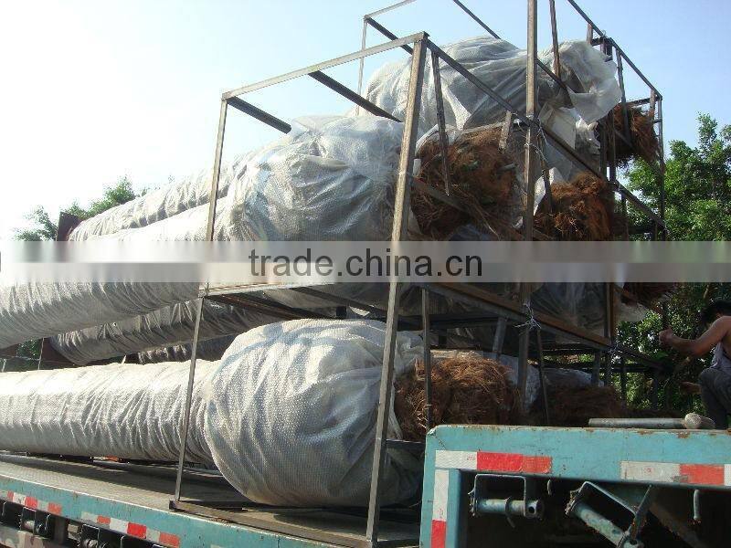 OEM /ODM manufacture artificial coconut tree