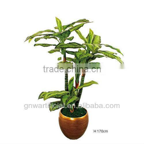plant and tree nursery green mini plants indoor office GNW G120