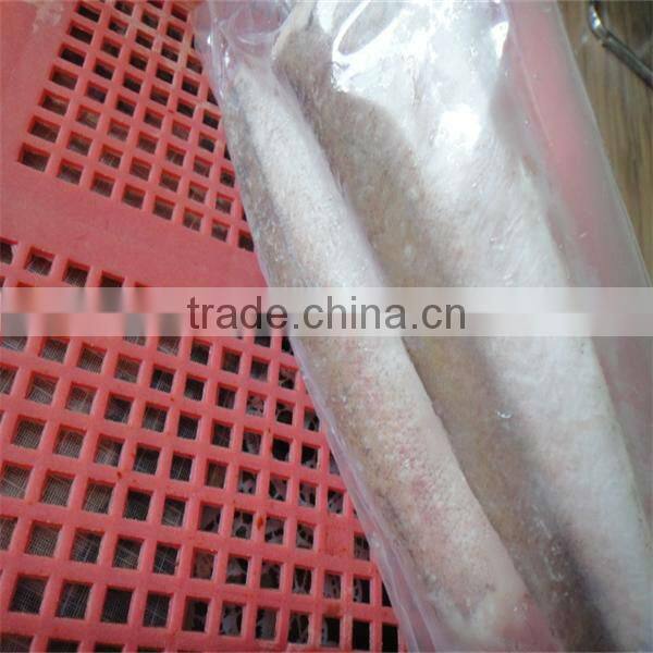 quality tuna fish frozen