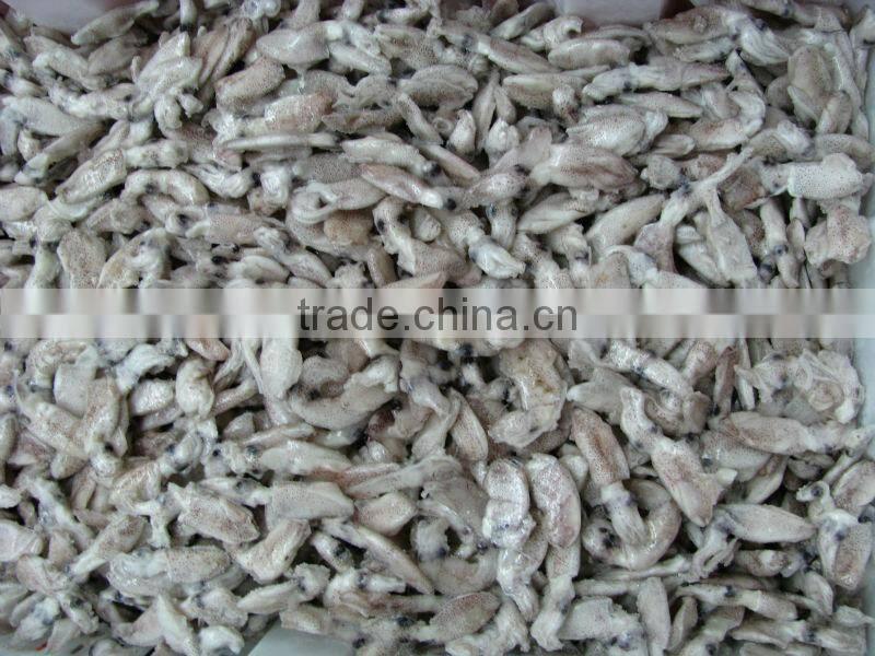 High quality IQF baby squid