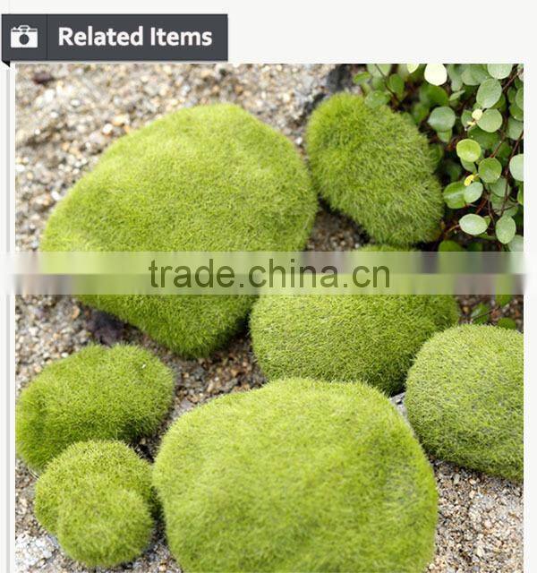 Gardening christmas gift for wall rock decoration moss stone