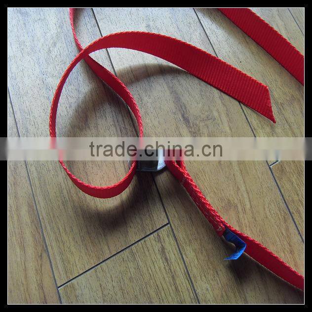 cam buckle strap webbing in ratchet tie down cam buckle with hooks and rings best price by China manufacturer
