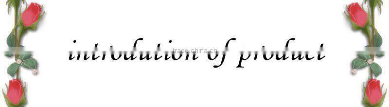 China gold supplier 10/1000M fiber optic media converter