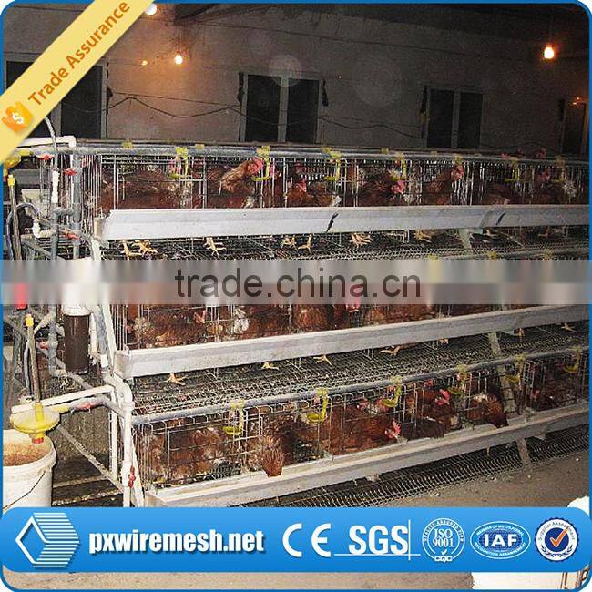 chicken farm equipment