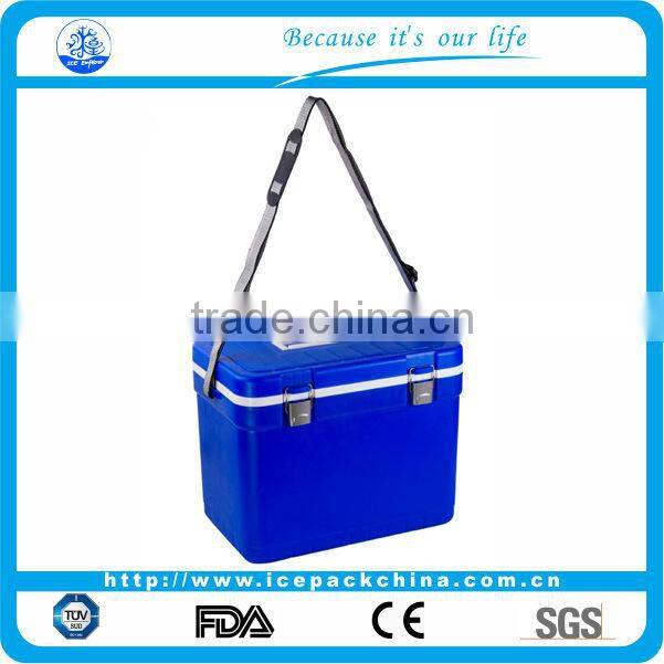 bags keeping insulin