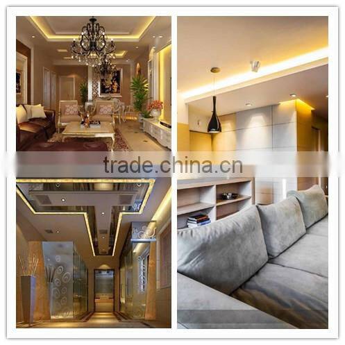 Single color double row 120led/m smd 5050 IP66/IP67 sicilon tube waterproof led flexible strip light tape 24V