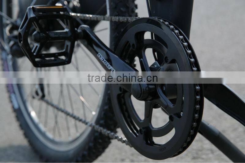 Seagull -China factory unique design EN14764 Bicycle chopper e-bike
