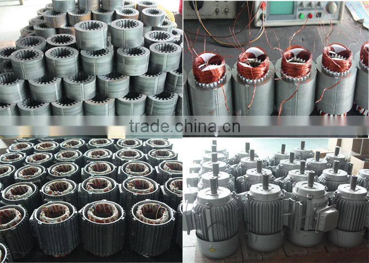 IE2 IP55 high efficiency and powerful three phase electric motor