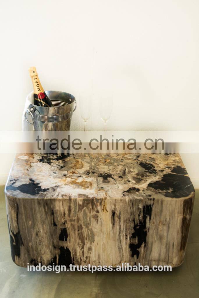 Solid coffee table from petrified wood