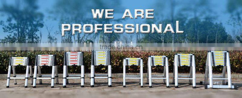 extreme heavy duty ladder.full aluminum design,Australia,New Zealand,Brunei Darussalam,Japan,korea,Thailand popular