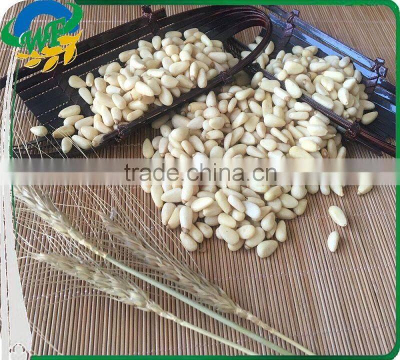 New crop Chinese Pinenut Kernels
