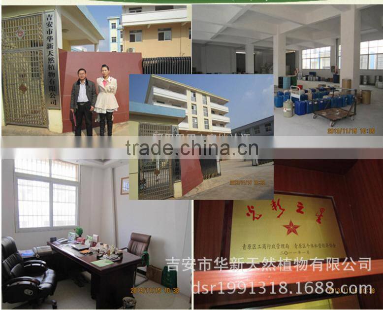 factory wholesale high quality eucalyptus citriodora oil