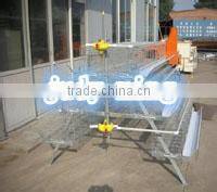 high quality layer chicken cage/quail cages for kenya market