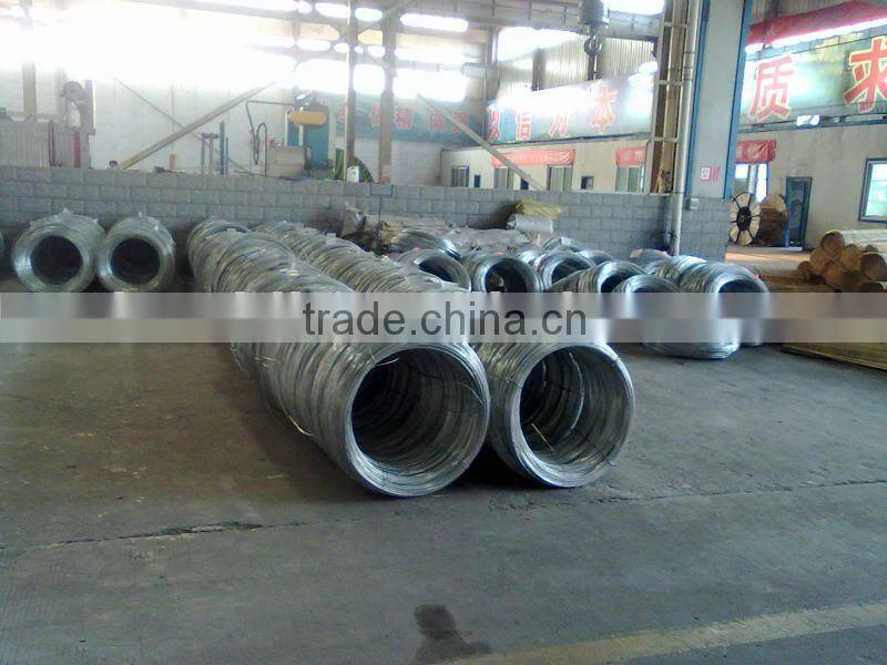 Galvanized Steel Wire /Stay Wire/Earth Wire