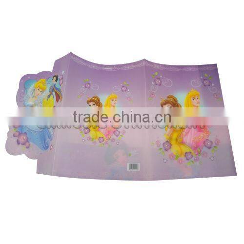 Colorful PPl file folder/E310