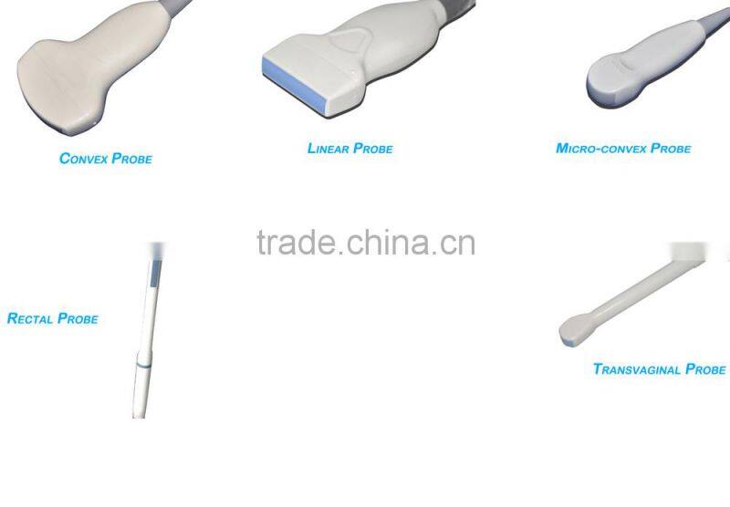 CE approved Portable PC Ultrasound Scanner/Ultrasound Machine with 3.5Mhz multi-frequency convex probe RUS-9000A