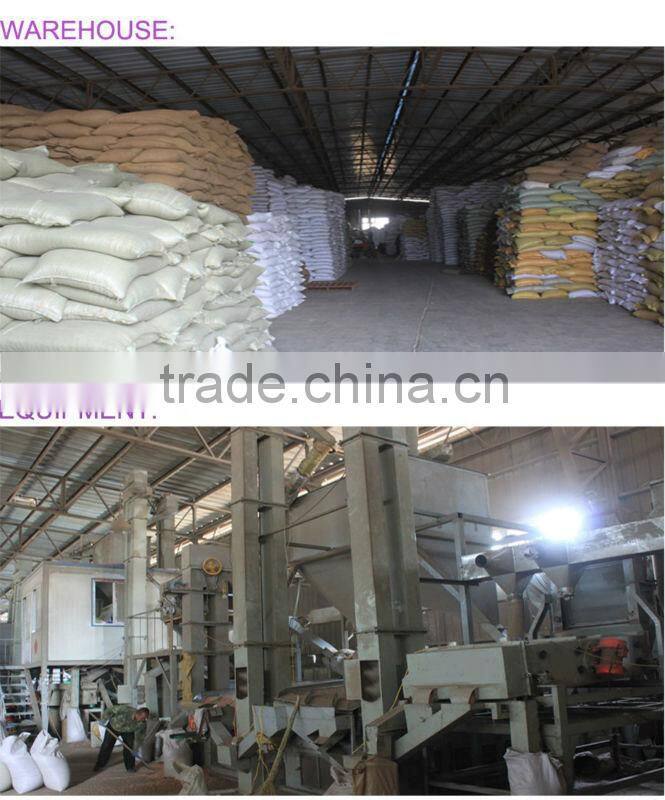 Peeled green mung beans buyer