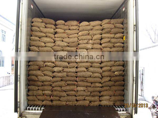 dandong city chestnuts jinhua species