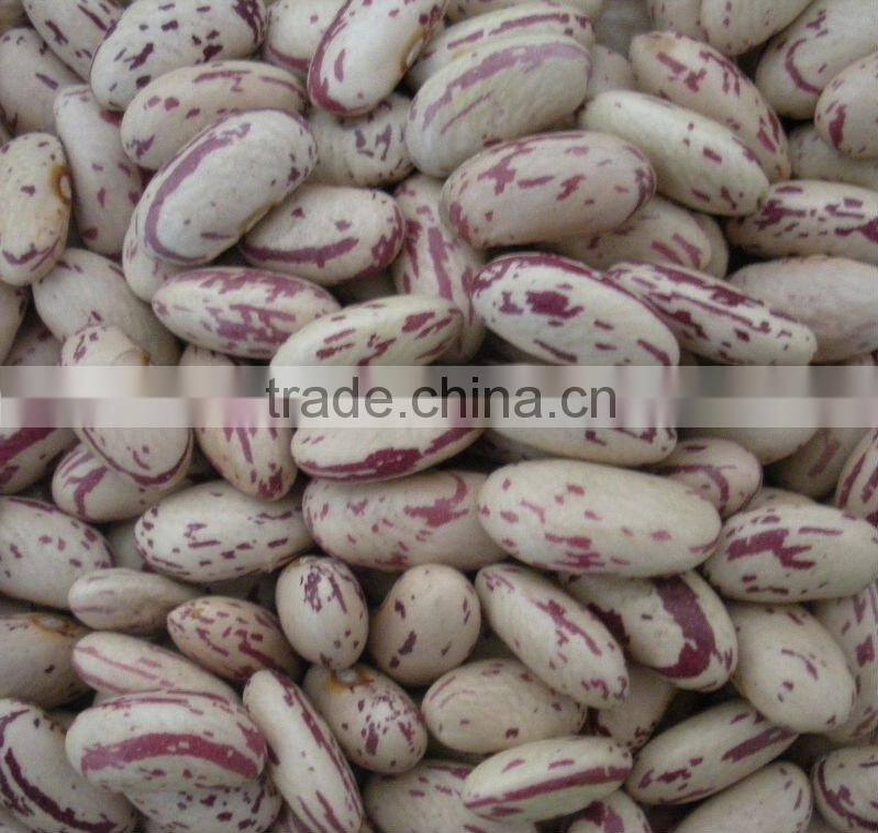 All Type Light Speckled Kidney Beans