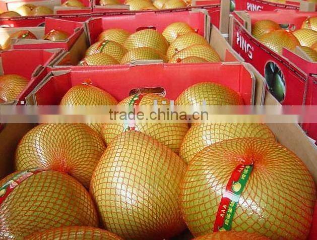 Honey Homelo Fruit From China