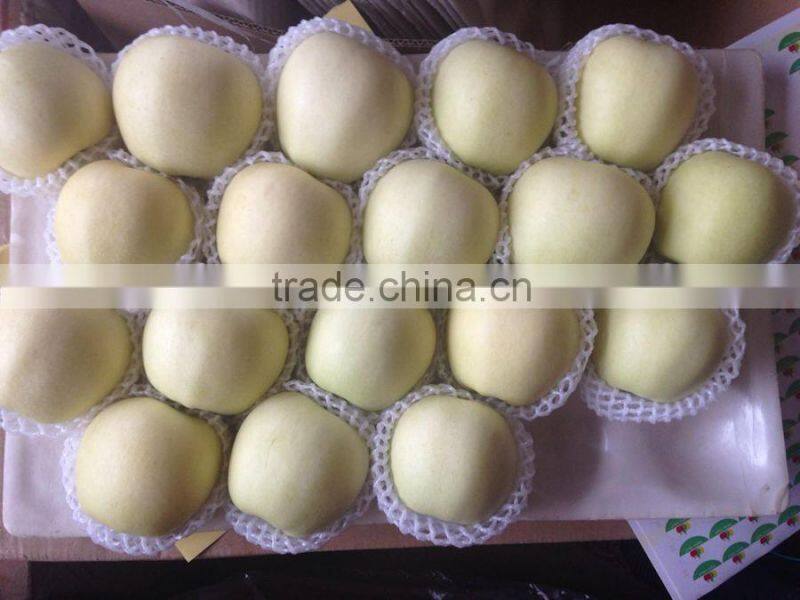 Top class fresh golden delicious apples