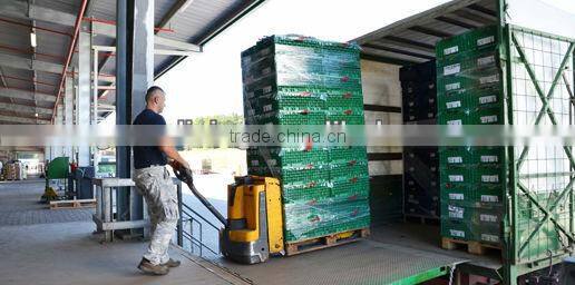 2012 shatang orange top quality without leaf