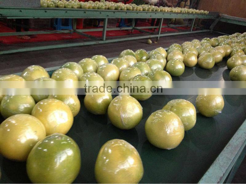 Guanxi fresh pomelo