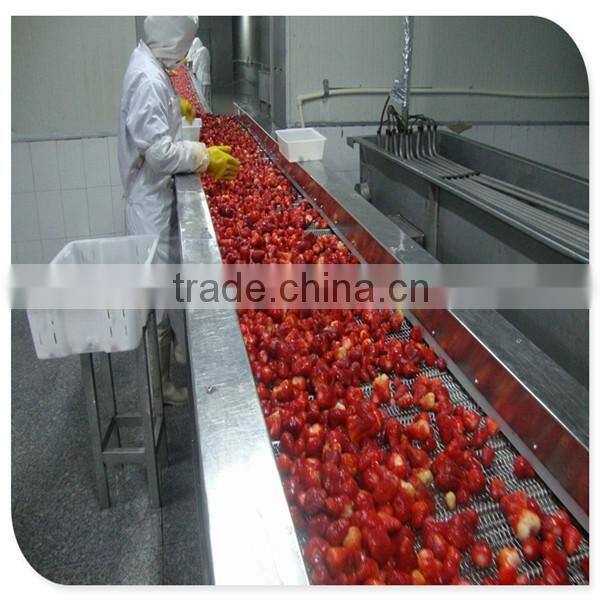Haccp frozen IQF strawberry Gade A 15-- 25mm,25--35mm