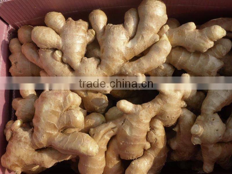 Fresh air dried ginger