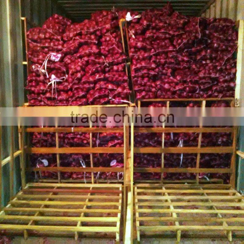 Best Quality Onion Price For Sri Lanka