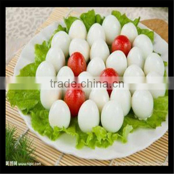 Hot sale quail egg peeling machine 0086-15037185761