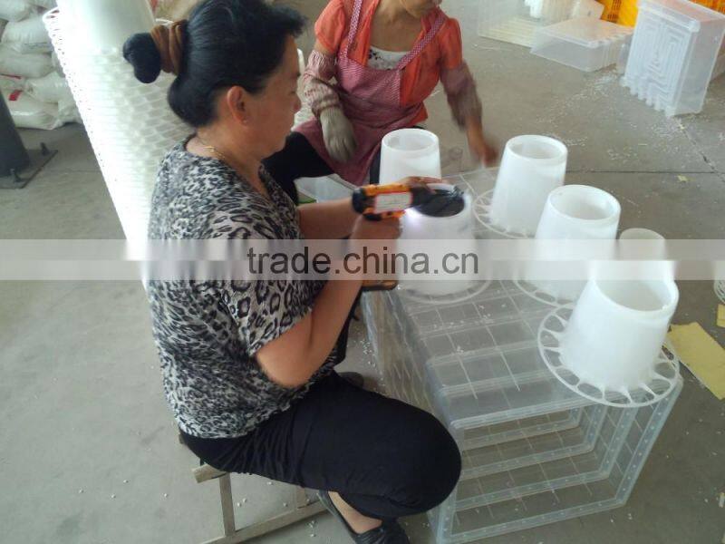 cheap PP material chicken feeder and drinker