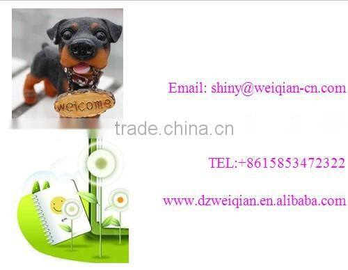 chicken transport box