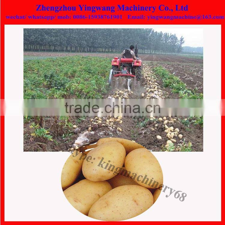 yingwang brand garlic harvesting machine (0086-15938761901)