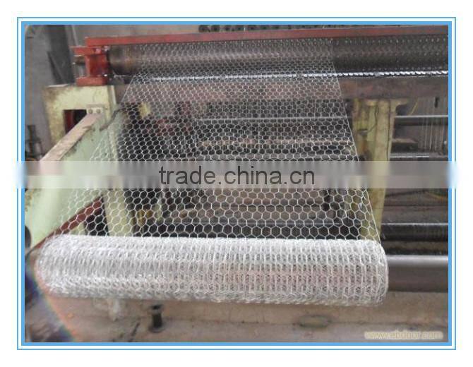 2x2 galvanized welded wire mesh for fence panel