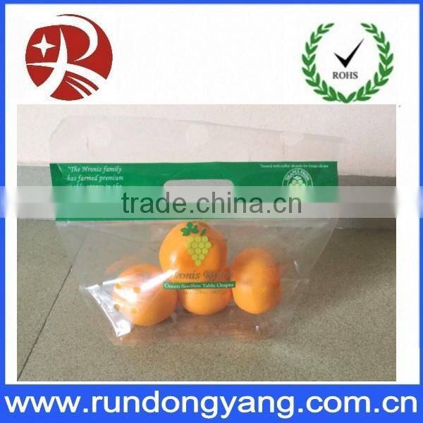 Plastic Printed Zip Lock Grapes Bag Fruit Protection Bag