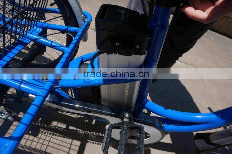 Danish three wheel pedal assisted cargo electric bike for sale