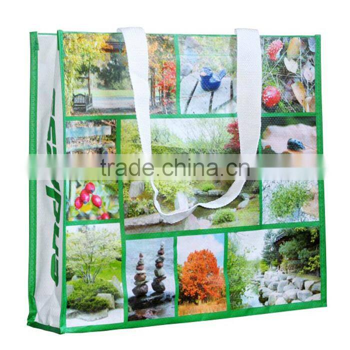 PP Woven Shopping bag/reusable shopping bags/promotional bag