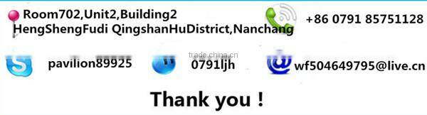 Newest Women Printed Plain Long Sleeve T shirt