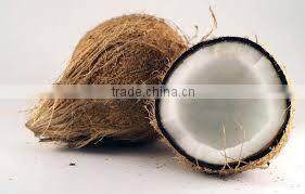 Fresh trimmed/undrimmed coconut
