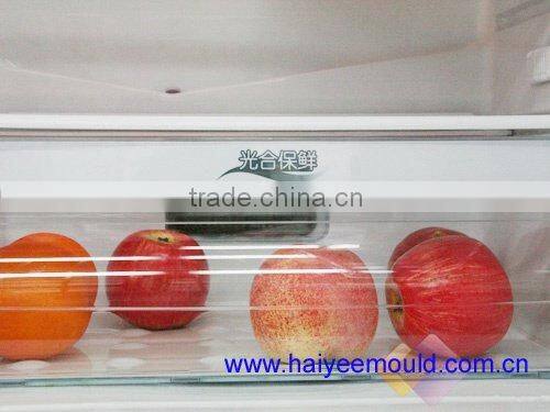 Plastic Refrigerator Parts Mold