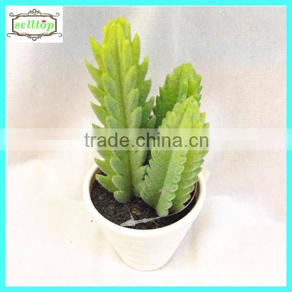 10cm new design hot sale artificial mini cactus plants